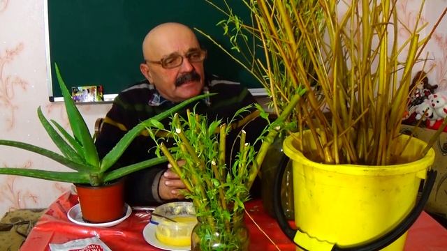 Очень эффективные укоренители "за три копейки"! смотреть онлайн