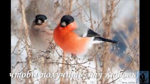 Медитация для Привлечения Любви