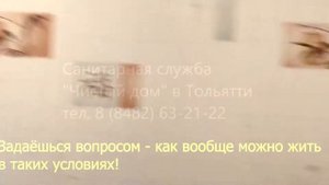 Тараканы в квартире, квартиры Тольятти