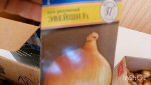 Борюсь с ТРИПСАМИ на рассаде ,луке и гладиолусах !