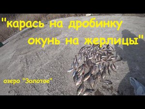 ПРОВАЛИЛСЯ ПОД ЛЕД! "Карась на дробинку, окунь на жерлицу". Наловил карасей.