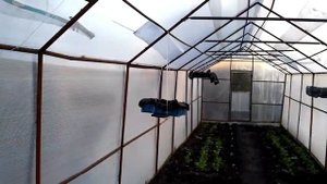 Лайфхак дачника, увеличение КПД парника