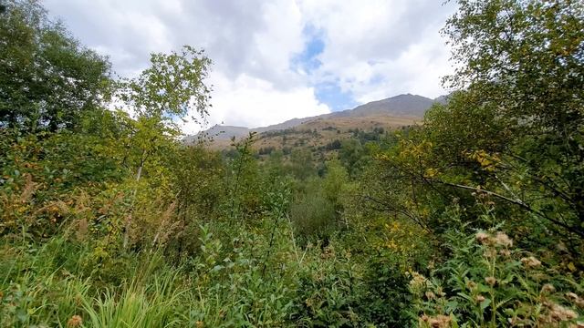 Autumn Nature in the Mountains and the Singing of Forest Birds смотреть онлайн