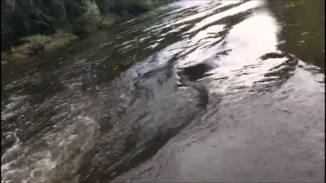 Stormline Adventure Standart 340Yamaha F5AMHS Нижний Тагил сезон 2019