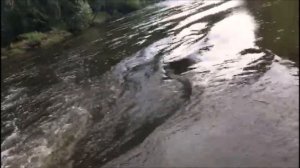 Stormline Adventure Standart 340+Yamaha F5AMHS Нижний Тагил сезон 2019