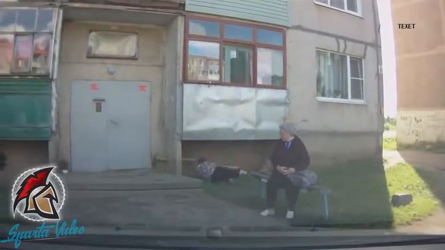 Собака и хозяйка Sparta Video 720p смотреть онлайн