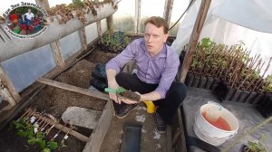 Какие контейнеры выбрать для саженцев ВИНОГРАДА. Какой использовать грунт #ТриЭкоВиноградник