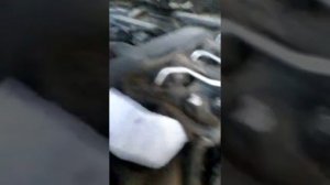 картерные газы на киа соренто