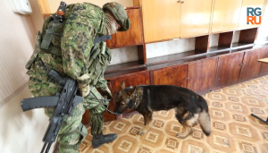 Накануне 1 сентября российские саперы проверили школы в Мариуполе