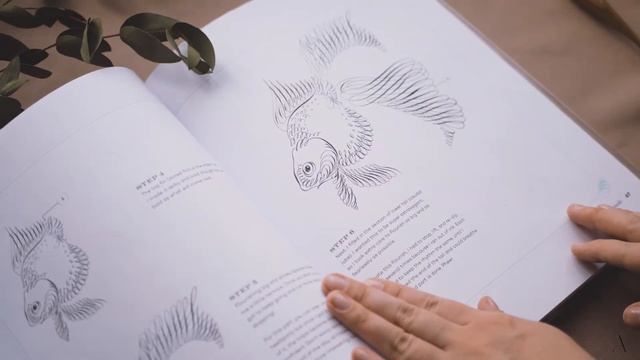 Книга по каллиграфии и рисованию Calligraphic Drawing | Как рисовать флориши