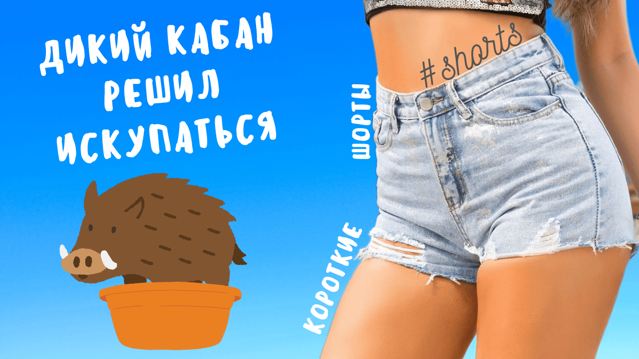 Дикий кабан решил искупаться..) #shorts