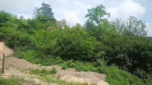 Домики для базы отдыха. Строим красиво.