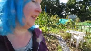 Keeping family traditions alive - Wild food foraging in the UK