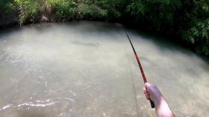 Ловля Усача на малой речке.