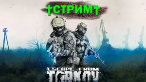 ESCAPE FROM TARKOV † 10 УР. ? ИГРА НОВИЧКА