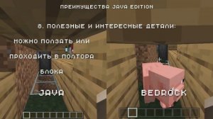 Minecraft Java Edition vs Bedrock Edition - отличия, что лучше, прогноз развития