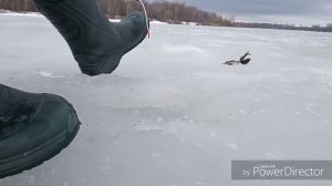 Рыбалка в феврале на Берестовой