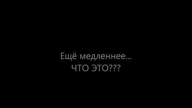 Фотоловушка - нечто (выход в лес за фотоловушкой)
