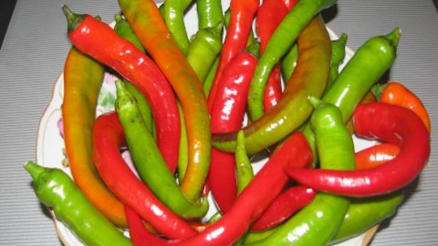 Острый перец, маринованный на зиму