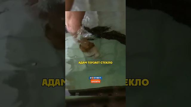 Как Разбить Стекло под Водой  #разрушители #мифы #разрушителилегенд