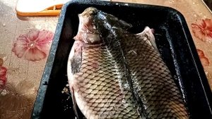 Рецепт очень вкусного сазан, карпа. Как приготовить вкусно рыбу к праздничному столу Сазан в духовк