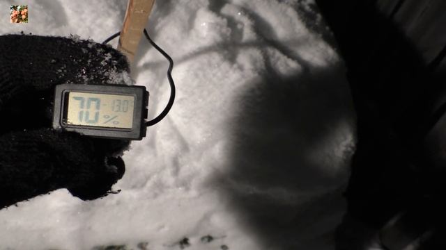 Зимовка пчёл. Измеряем температуру в сугробах. смотреть онлайн