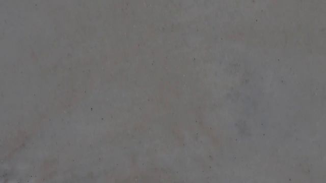 USA: США: КРАБЫ НА ПЛЯЖЕ. ОТВЕРСТИЯ В ПЕСКЕ ДЕЛАЮТ КРАБЫ США смотреть онлайн