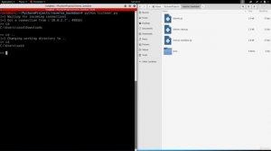 Курсы по программированию на python Часть 1 (Вступление) (Этичный хакинг)