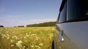 Поездка за клубникой в Кулундинскую степь. Чистоозерный район