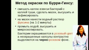 Микробиология. Методы окраски . Метод Бурри-Гинса.