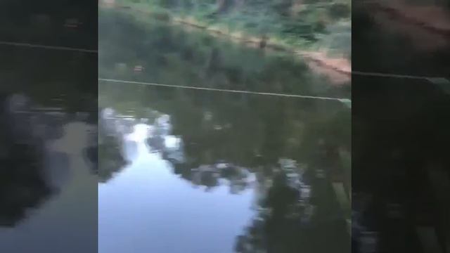 Клев на вечерней зоре смотреть онлайн