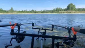 Отдых с детьми на природе с палатками, рыбалка , страшилка на ночь)))
