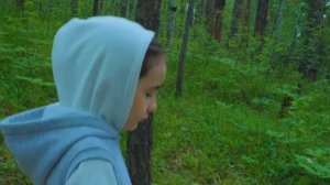 Как найти цветок папоротника в ночь Ивана Купала?