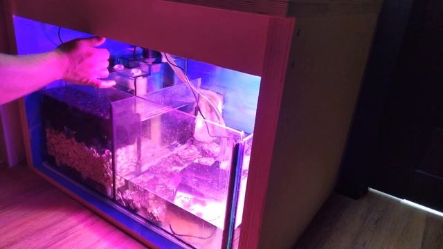 Фильтрация в моем морском аквариуме и ошибки которые я допустил смотреть онлайн