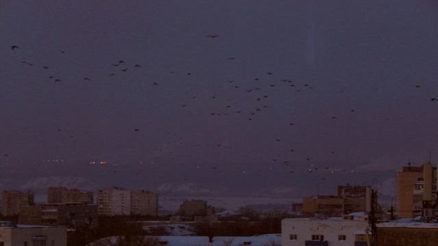 перемотка - последний сеанс | doomerwave смотреть онлайн