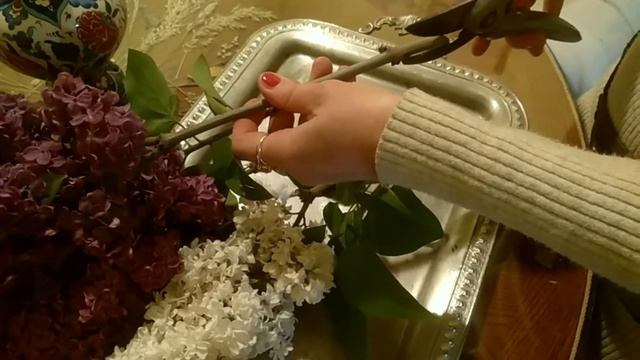 СИРЕНЬ НАДОЛГО смотреть онлайн