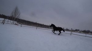 "ОДИН" часть 3я