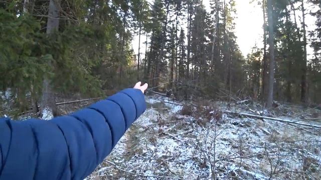 В лес 9 ноября 2019 (1часть) смотреть онлайн