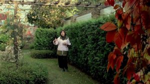 Как увеличить малый сад? Приёмы, секреты, хитрости!