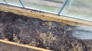 ?Работы в теплице осенью. Вносим органику❗