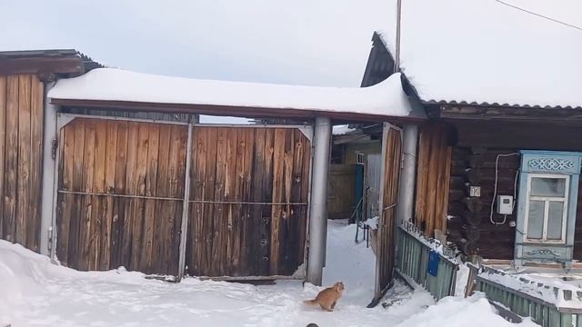 Холода отступают, продаю дом и козла. смотреть онлайн