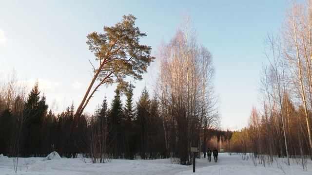 Комфортная городская среда 11.03.2024