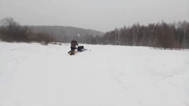 Снегоход из самодельного мотобуксировщика смотреть онлайн