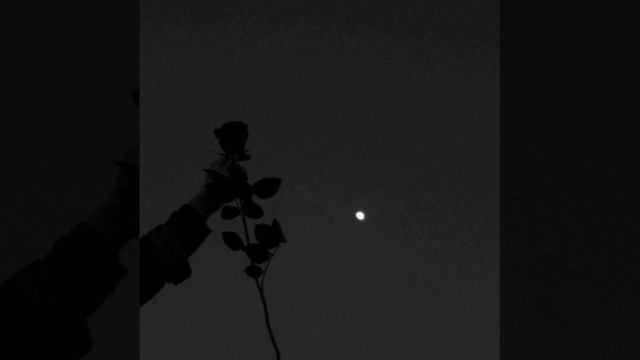 Enrasta - Джованна (slowed+reverb) смотреть онлайн