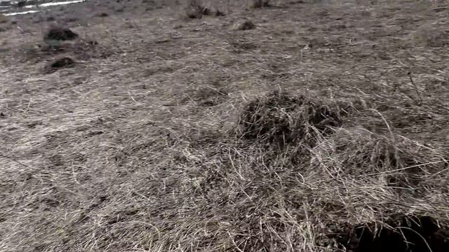 ВОТ И ДЕНЬ УДАЛСЯ . ТУТ НАХОДКИ ,ТАМ НАХОДКИ . смотреть онлайн