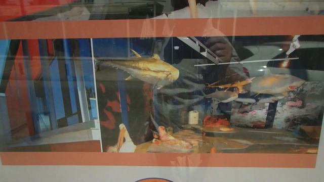 КИПР. Ларнака - Айя Напа. Cyprus смотреть онлайн