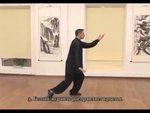 Тайцзи-цюань Ян 24ф. - подробности № 16-17 формы с доктором Бутримовым. Ассоциация Даоинь России