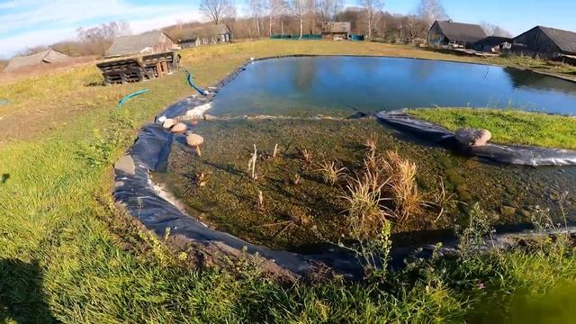 Пруд с водопадом и ручьём своими руками | Пруд для осетра на даче смотреть онлайн