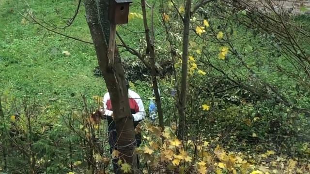 828.Эстония. Мой день. #жизньвэстогии #novatinafilm #vlog смотреть онлайн