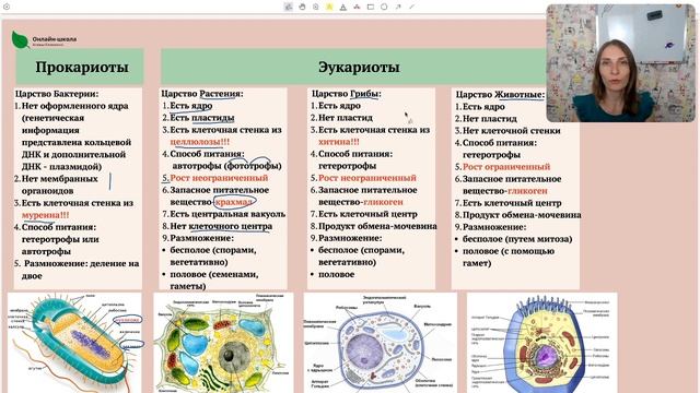 Сходства и отличия клеток различных царств смотреть онлайн